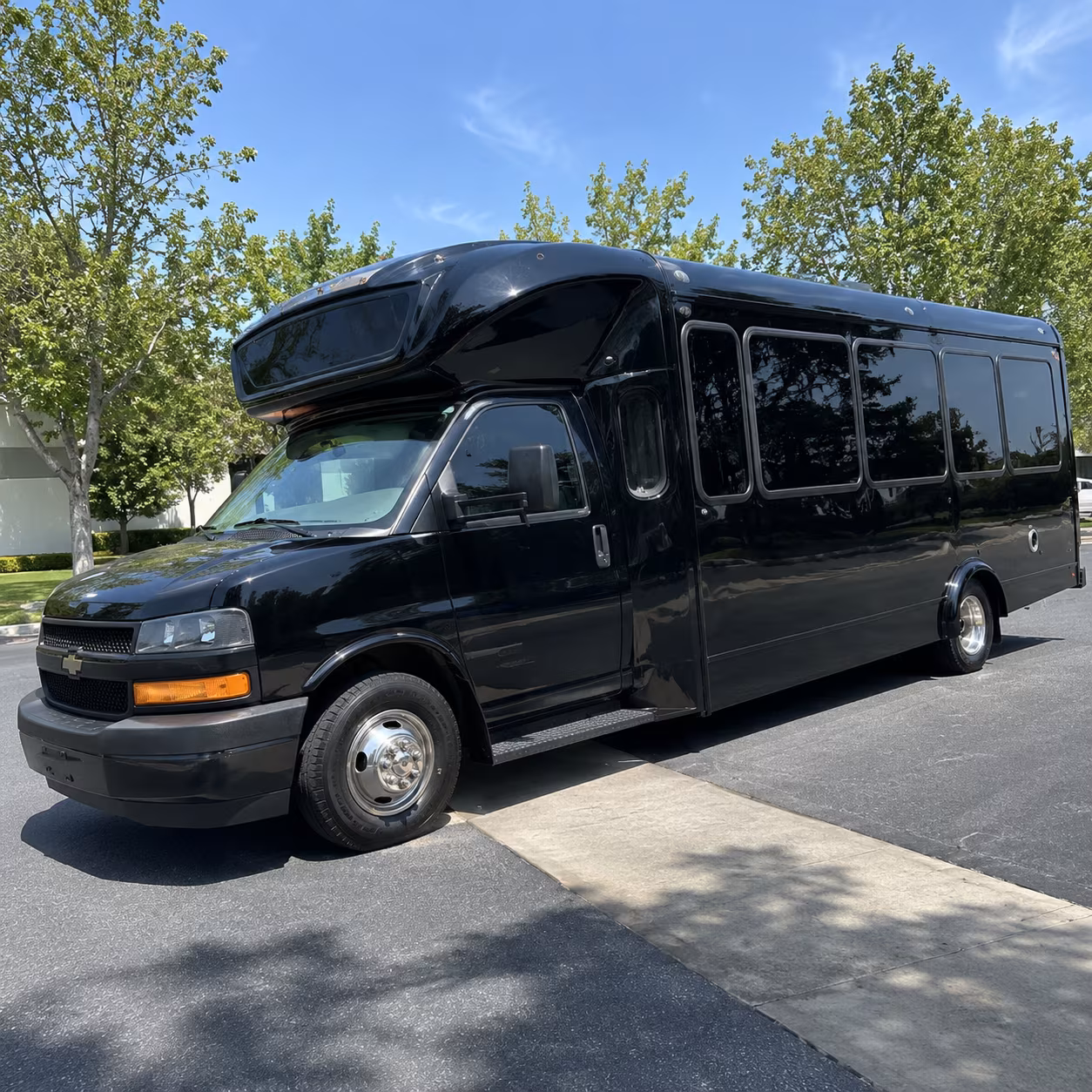 Group beside a Mercedes Sprinter limo in Tempe